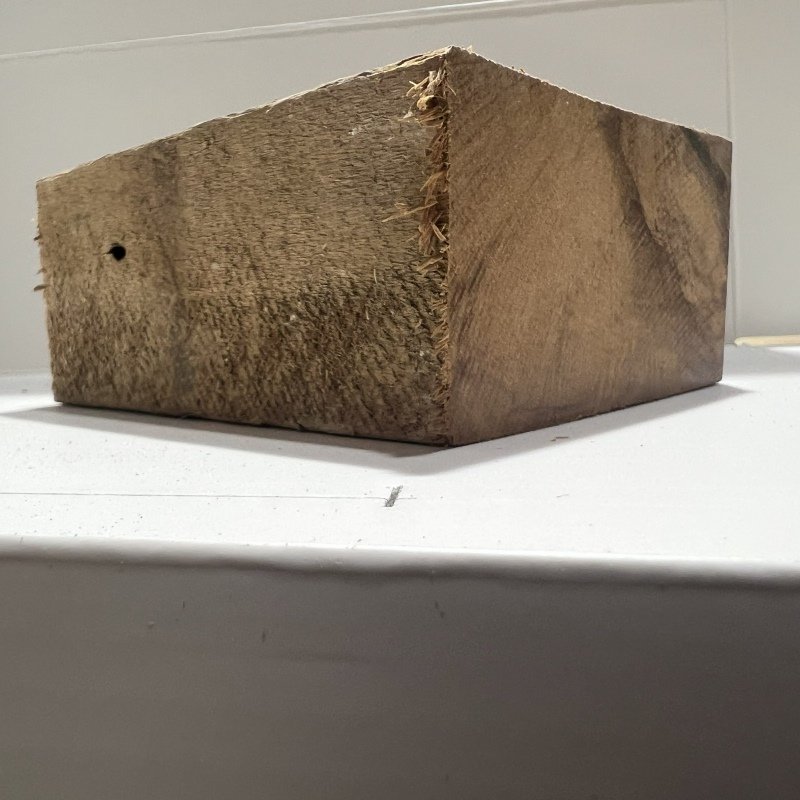 You need to check that the back of the hold will be flat